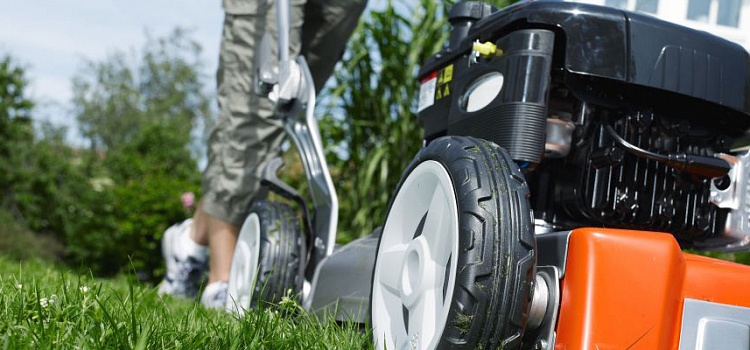 ���� ������� ������ �� ���������