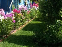 ������������ ������ � �����