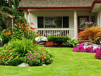 ����������� ��������������